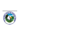 Rajawali Nusa Ina Perkasa